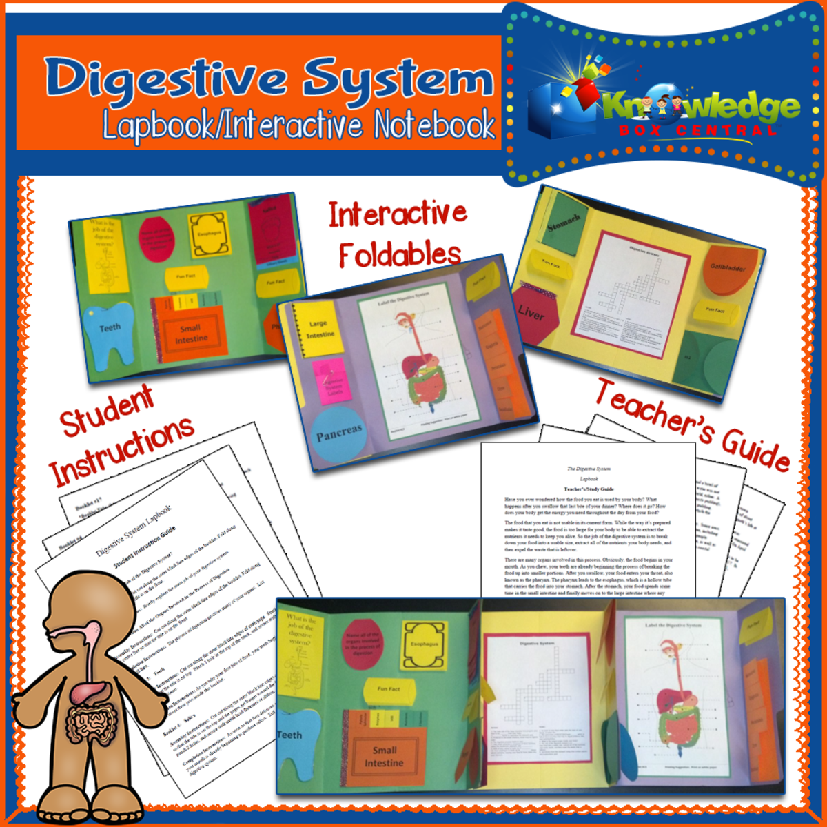 An educational teaching resource from Knowledge Box Central entitled Digestive System Lapbook / Interactive Notebook - EBOOK downloadable at Teach Simple.