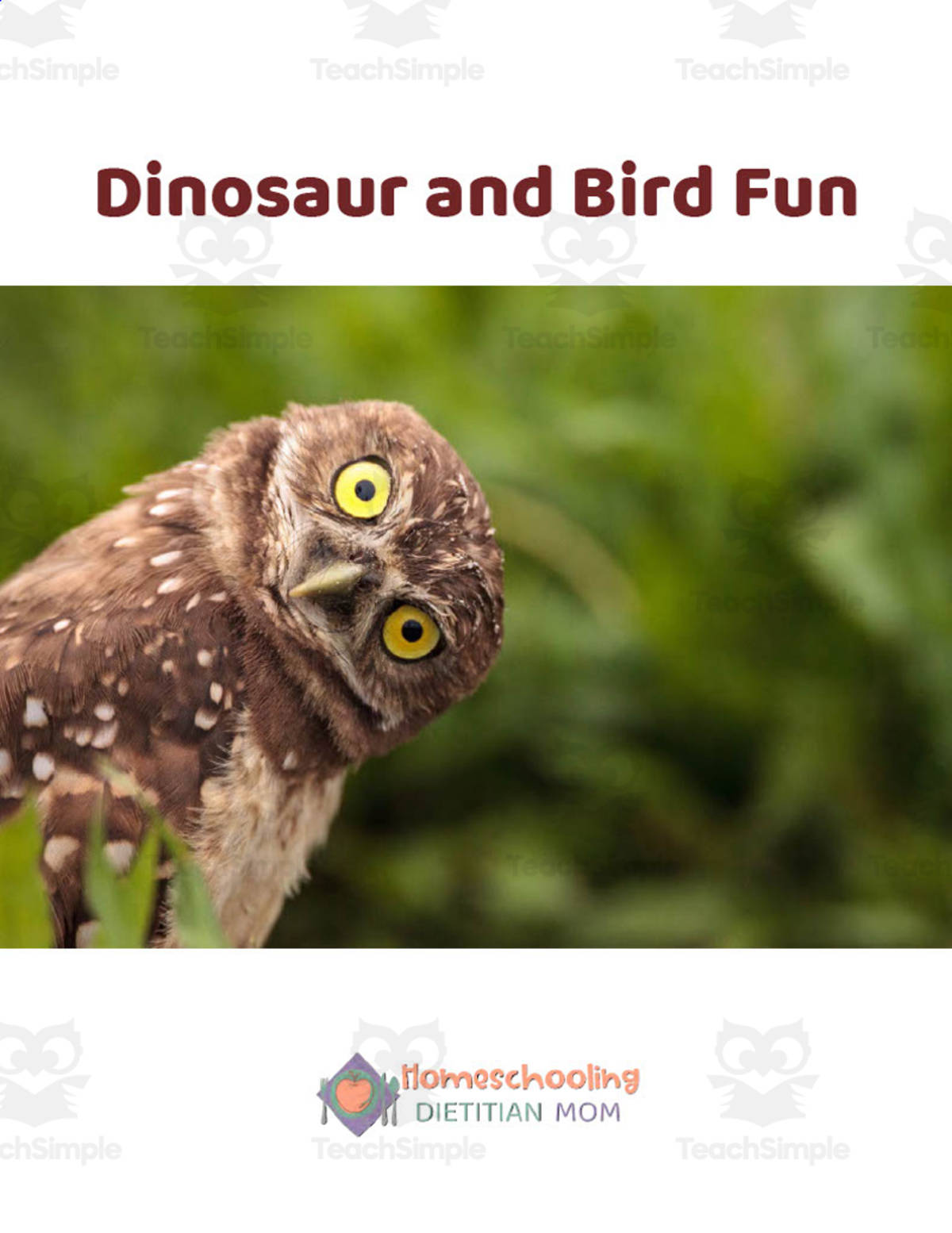 An educational teaching resource from Homeschooling Dietitian Mom entitled Dinosaur and Bird Fun Mega Pack downloadable at Teach Simple.