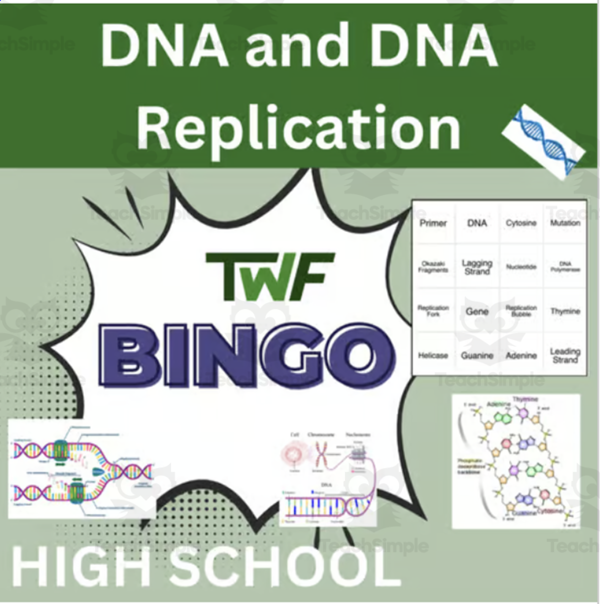 An educational teaching resource from Teach With Fergy entitled DNA and DNA Replication BINGO Review Activity downloadable at Teach Simple.