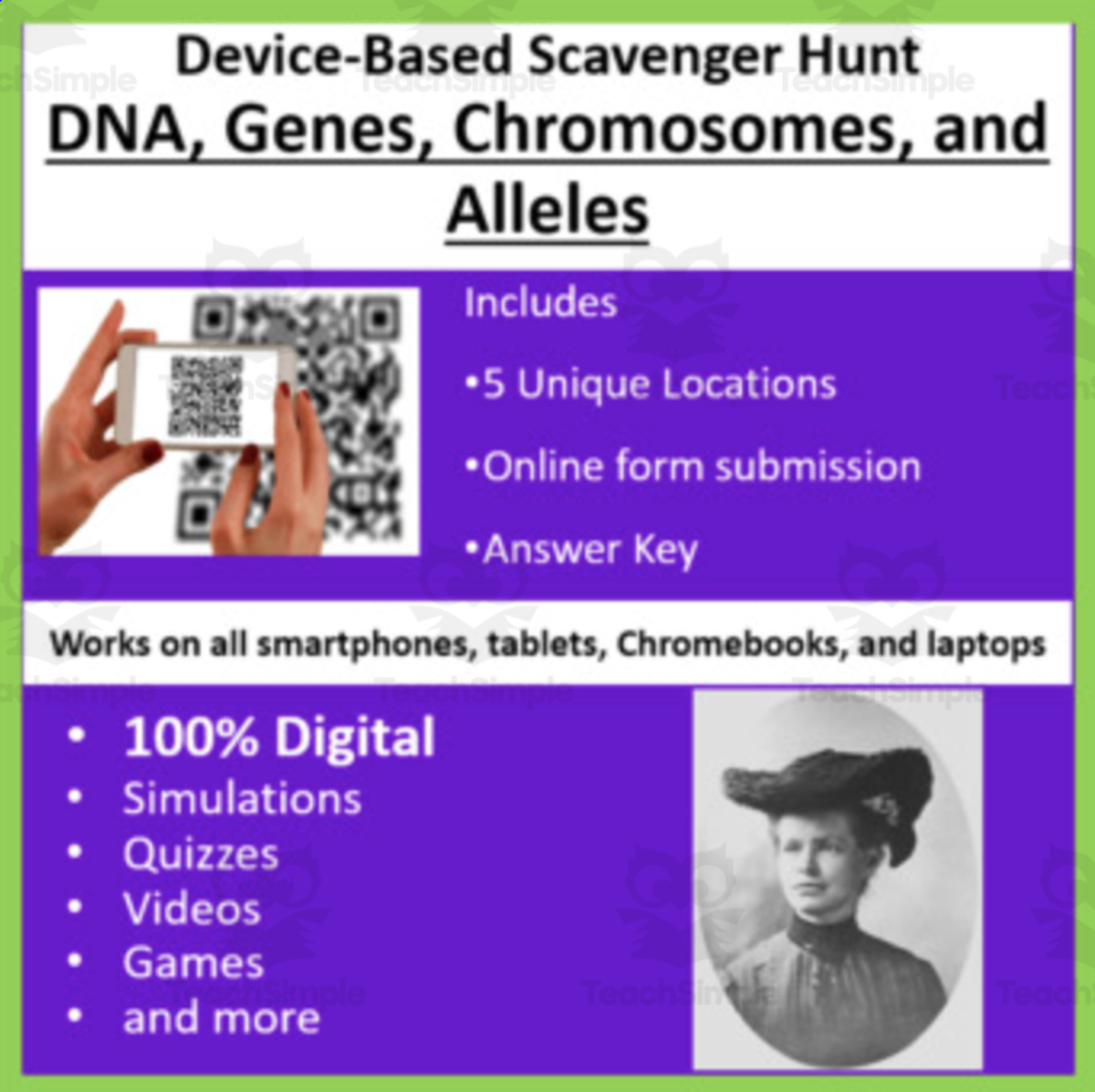 An educational teaching resource from Teach With Fergy entitled DNA, Genes, Chromosomes, and Alleles – A Digital Scavenger Hunt Activity downloadable at Teach Simple.