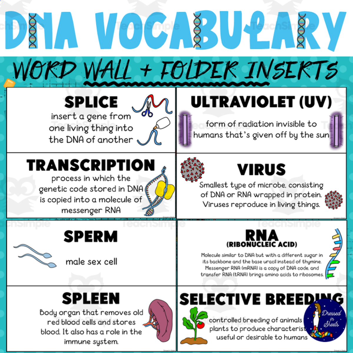 An educational teaching resource from Soumara Siddiqui entitled DNA Vocabulary Word Wall and Folder Inserts downloadable at Teach Simple.