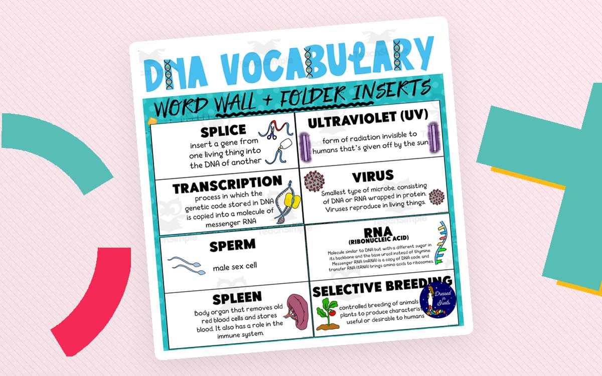 An educational teaching resource from Soumara Siddiqui entitled DNA Vocabulary Word Wall and Folder Inserts downloadable at Teach Simple.
