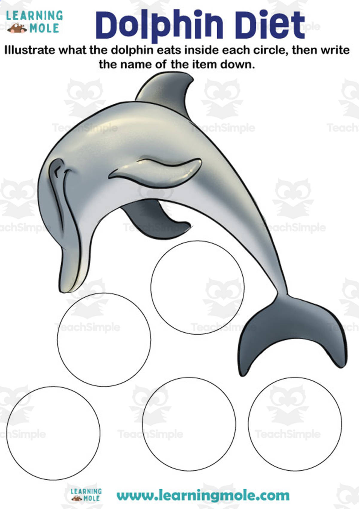 An educational teaching resource from Educational Voice entitled Dolphin Diet Activity downloadable at Teach Simple.