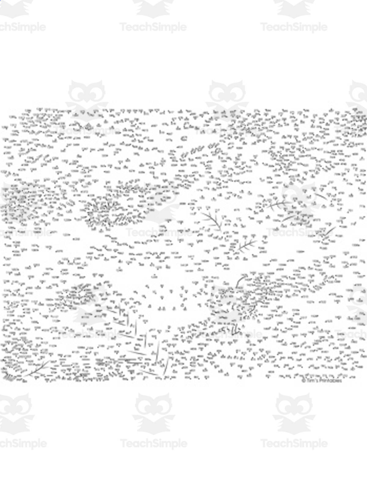An educational teaching resource from Tim's Printables entitled Dragonfly Extreme Connect the Dots downloadable at Teach Simple.