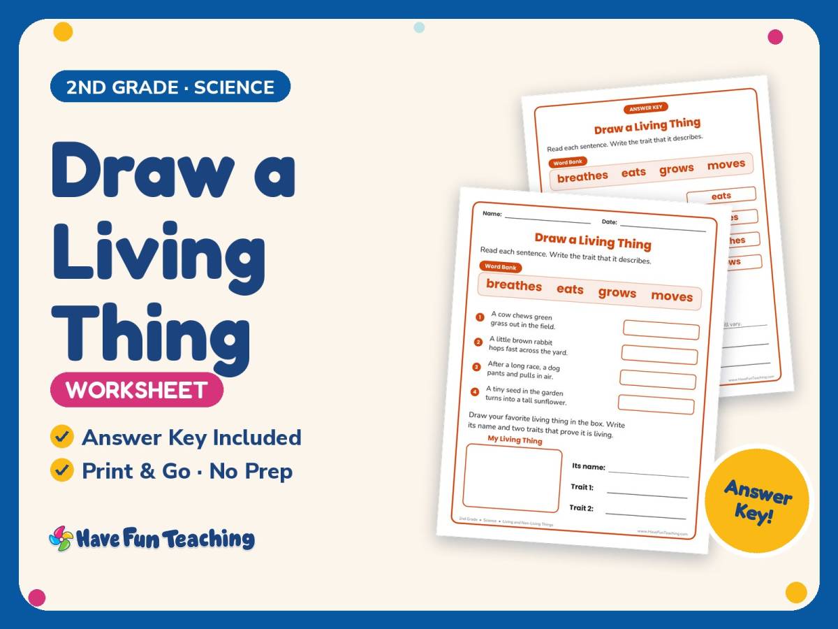 Draw a Living Thing Worksheet – 2nd Grade Living and Non-Living Things preview
