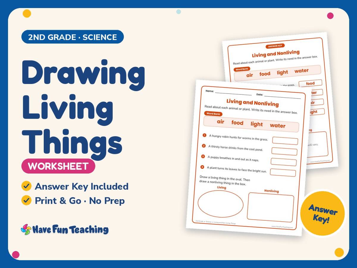 Drawing Living Things Worksheet – 2nd Grade Practice + Answer Key preview
