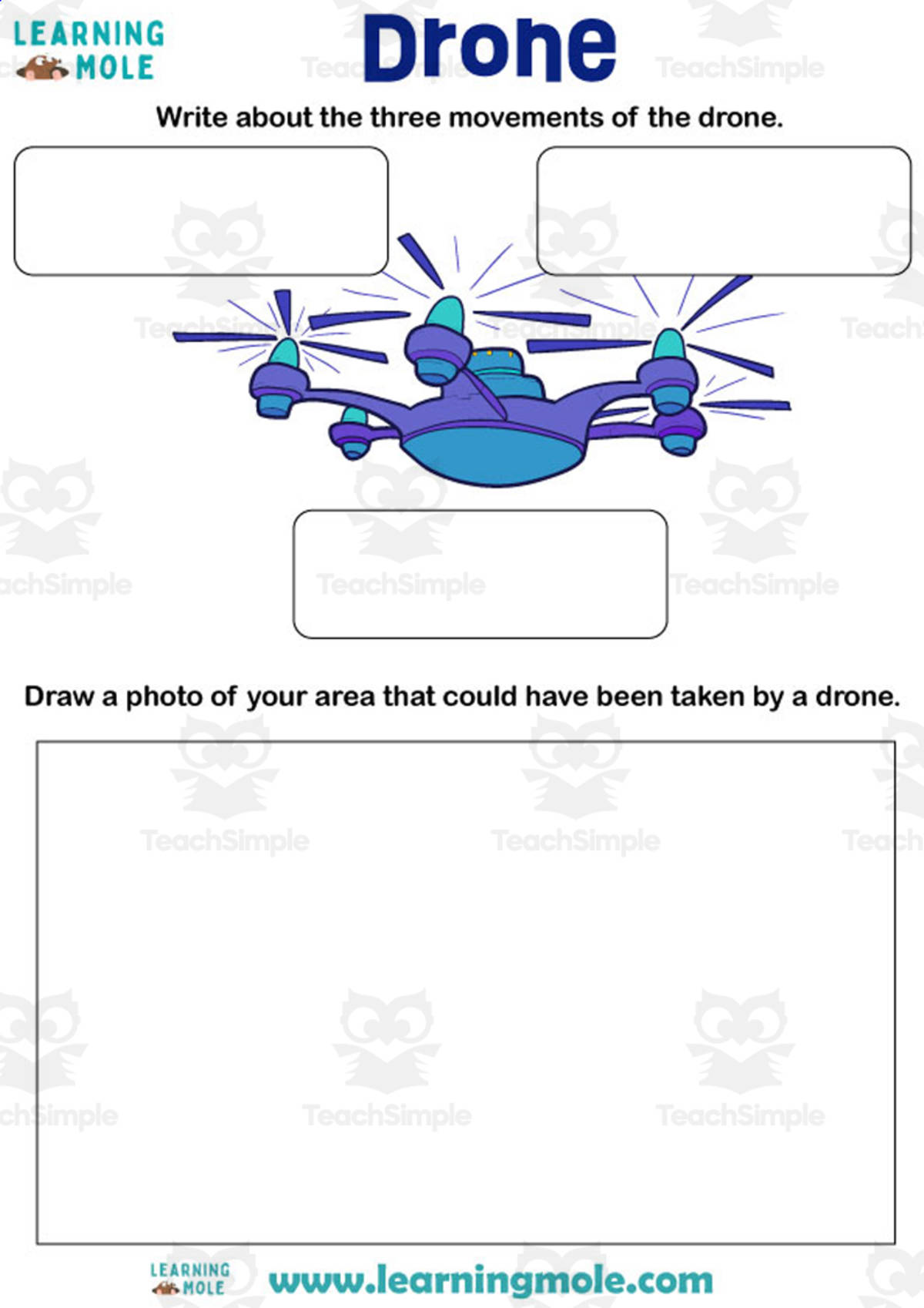 An educational teaching resource from Educational Voice entitled Drone Activity downloadable at Teach Simple.
