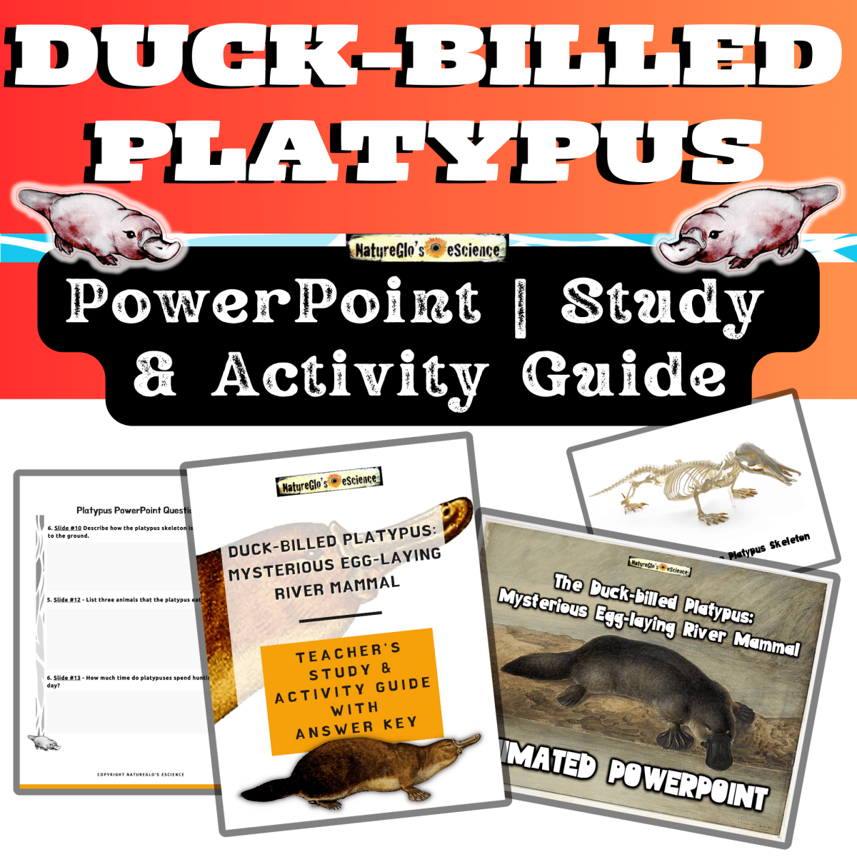 An educational teaching resource from NatureGlo's eScience entitled Duck-billed Platypus PowerPoint with Activity and Study Guide downloadable at Teach Simple.
