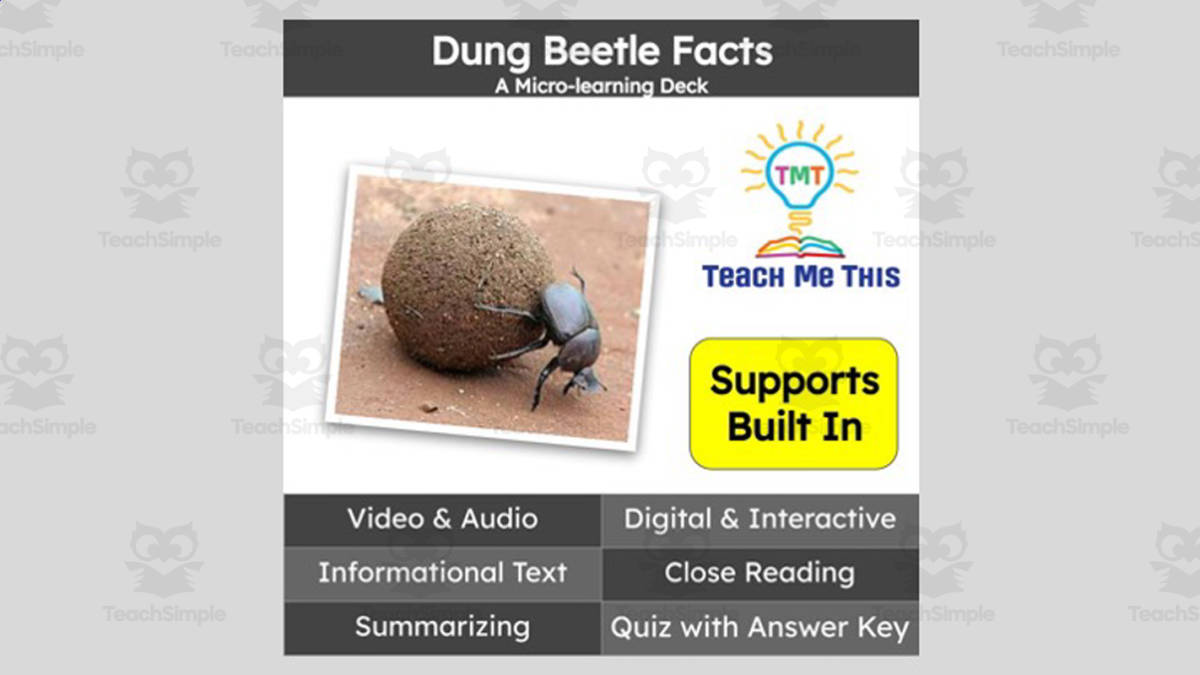 An educational teaching resource from Teach Me This entitled Dung Beetle | Interactive Science Lesson | Micro-Learning Deck downloadable at Teach Simple.