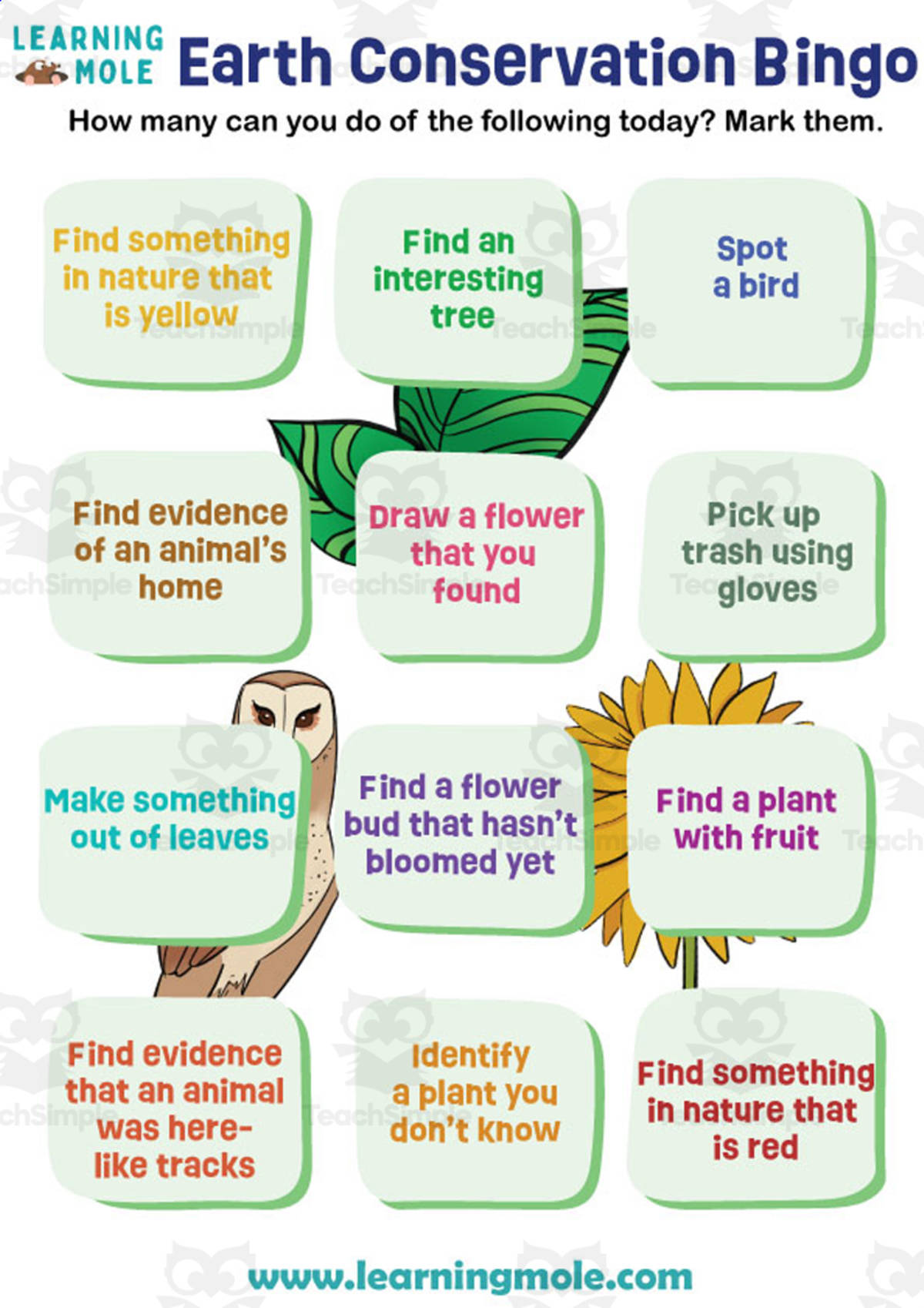 An educational teaching resource from Educational Voice entitled Earth Conservation Bingo Activity downloadable at Teach Simple.