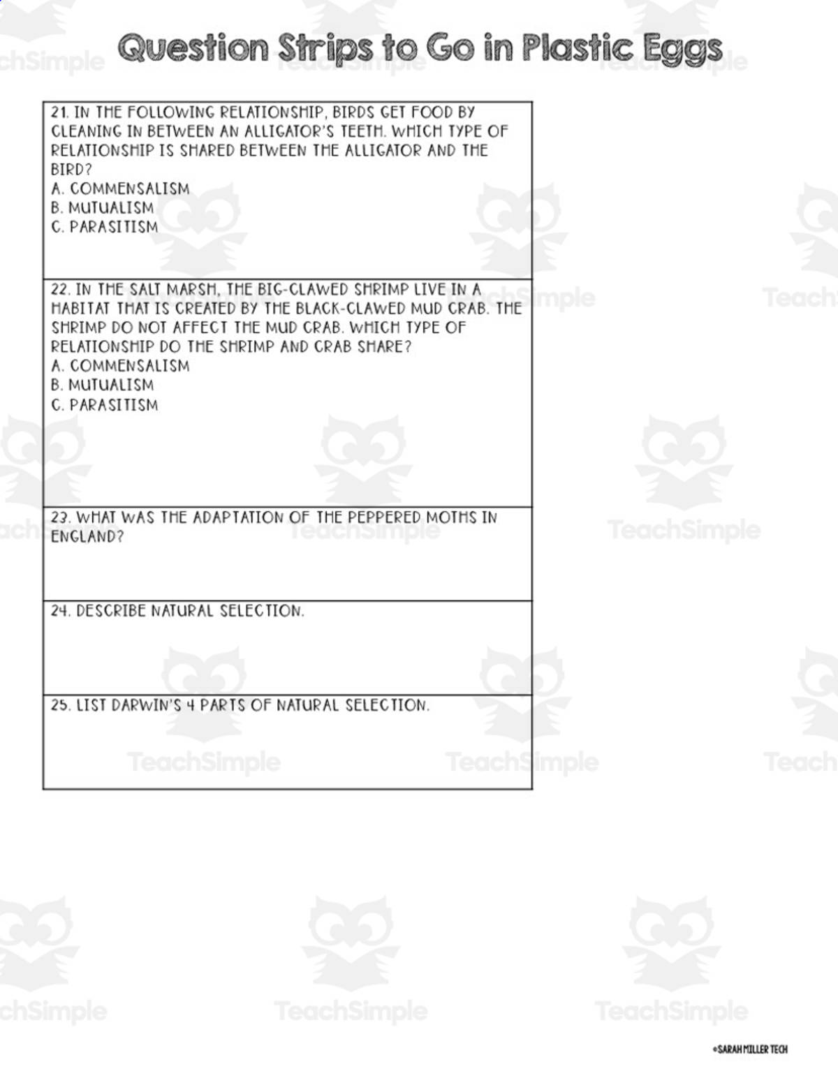 An educational teaching resource from Sarah Miller Tech entitled Easter Science Activity Pack downloadable at Teach Simple.