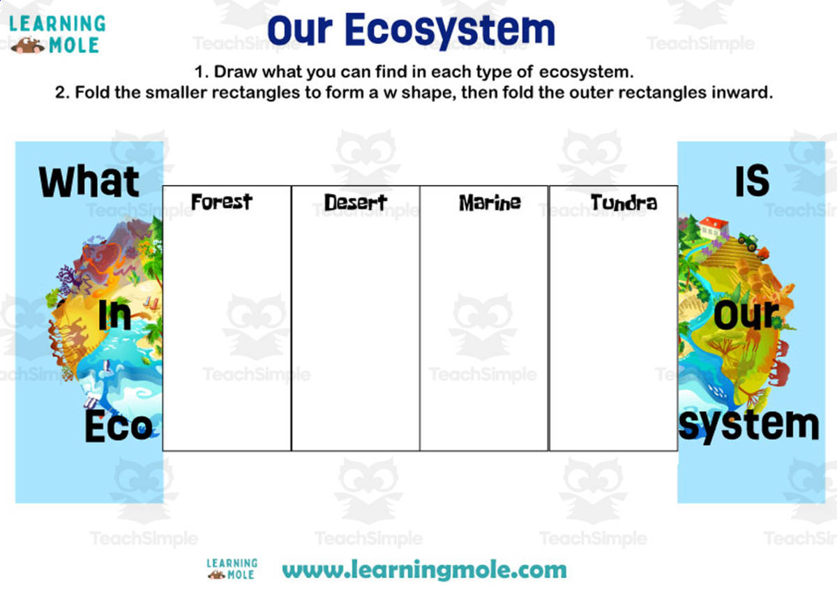 An educational teaching resource from Educational Voice entitled Ecosystem Activity downloadable at Teach Simple.