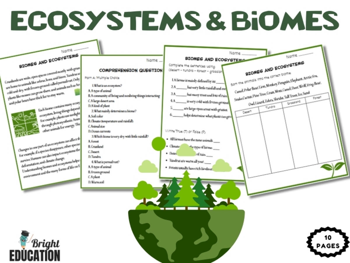 An educational teaching resource from Bright Education entitled Ecosystems & Biomes Reading Comprehension | Informational Text downloadable at Teach Simple.