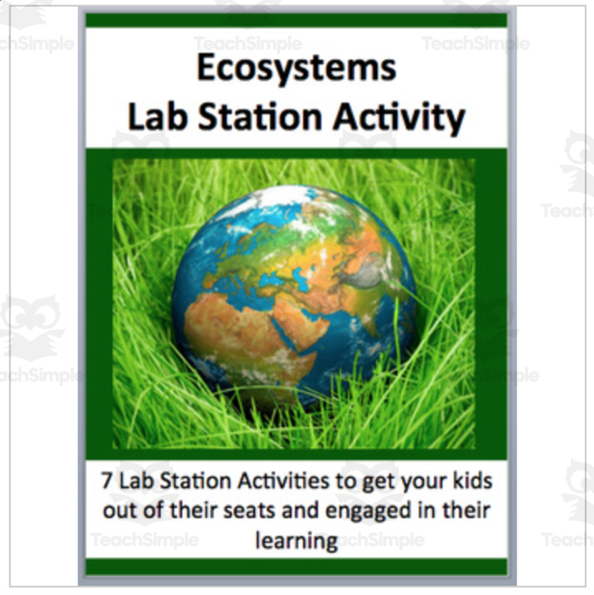 An educational teaching resource from Teach With Fergy entitled Ecosystems – Lab Station Activity downloadable at Teach Simple.