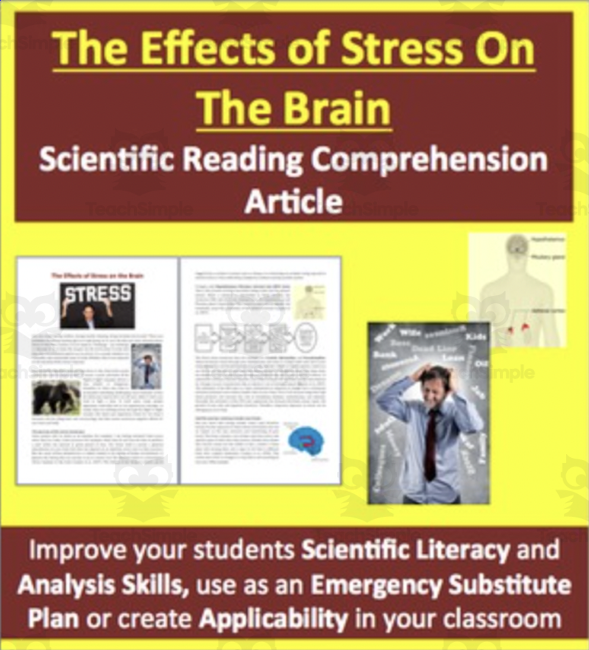 An educational teaching resource from Teach With Fergy entitled Effects of stress on the brain - Science Reading Article - Grades 5-7 downloadable at Teach Simple.