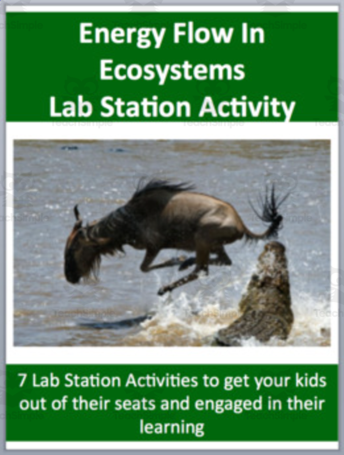 An educational teaching resource from Teach With Fergy entitled Energy Flow In Ecosystems – Lab Station Activity downloadable at Teach Simple.