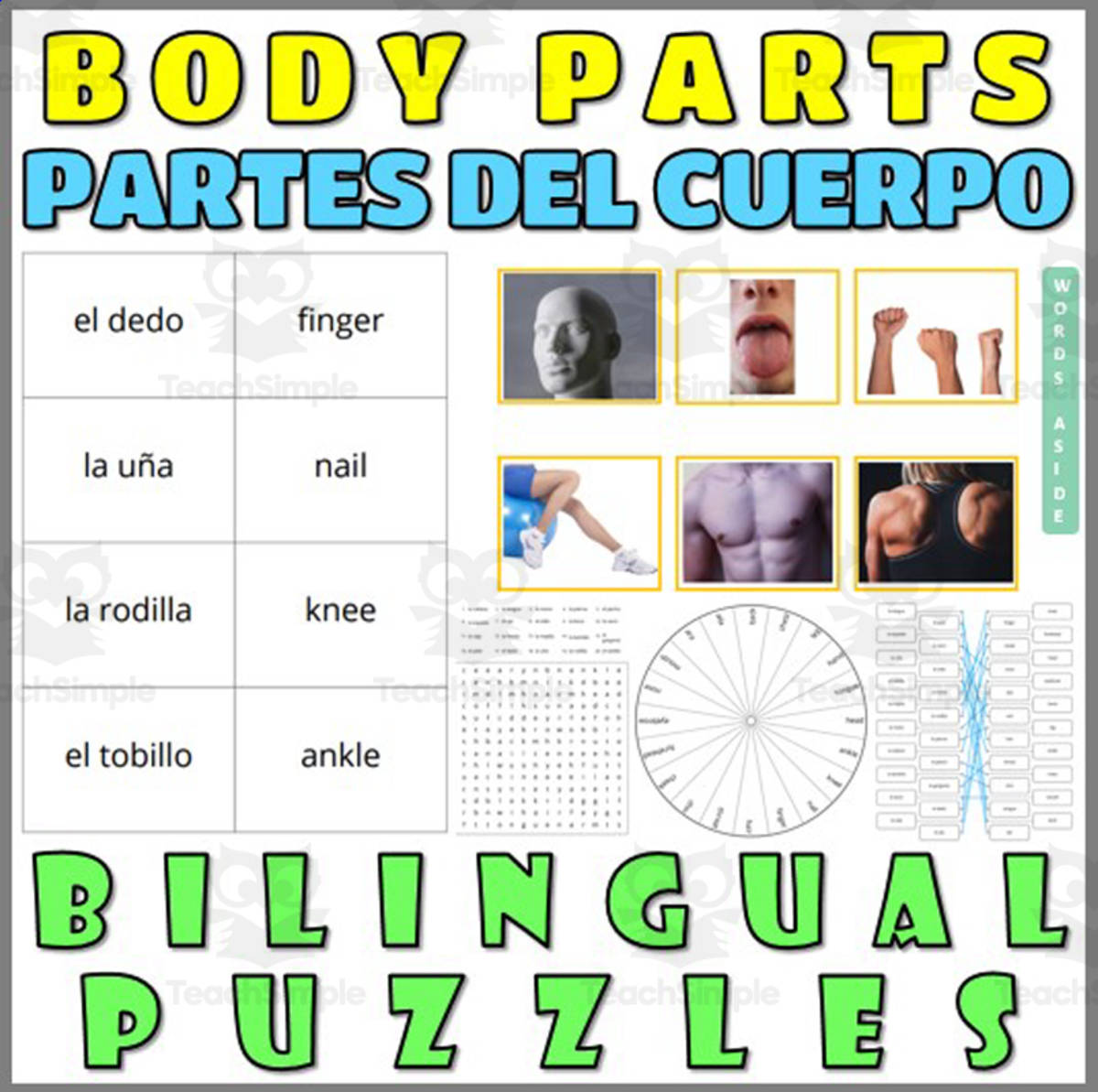 An educational teaching resource from WORDS ASIDE entitled English Spanish Vocabulary Flash Cards Worksheets Puzzles BODY PARTS downloadable at Teach Simple.