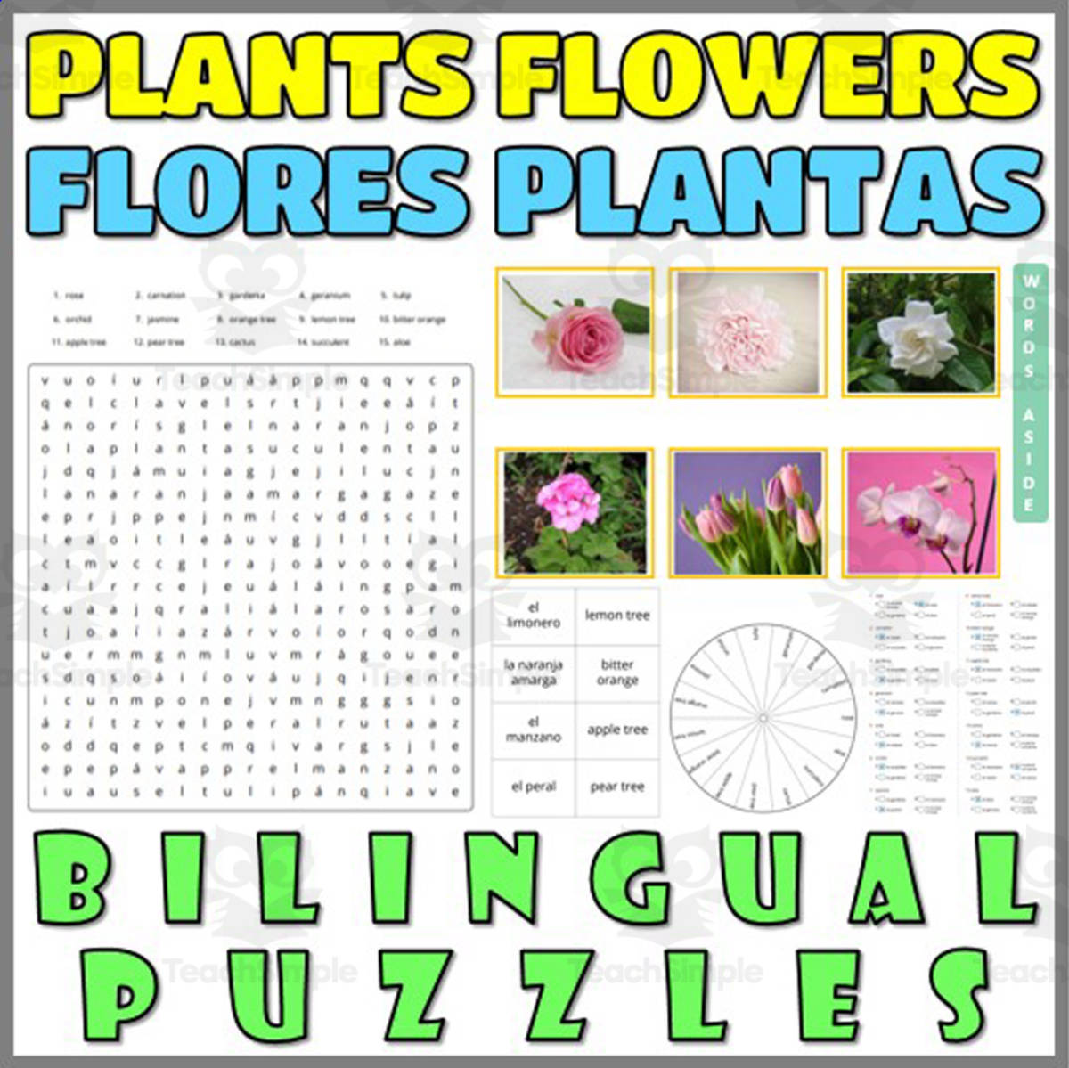 An educational teaching resource from WORDS ASIDE entitled English Spanish Vocabulary Flash Cards Worksheets Puzzles PLANTS downloadable at Teach Simple.