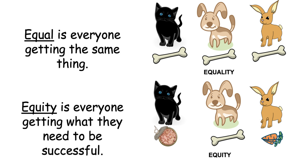 An educational teaching resource from Jennifer Moyer Taylor entitled Equality or Equity? SEL Lesson PowerPoint, Game and Handout downloadable at Teach Simple.