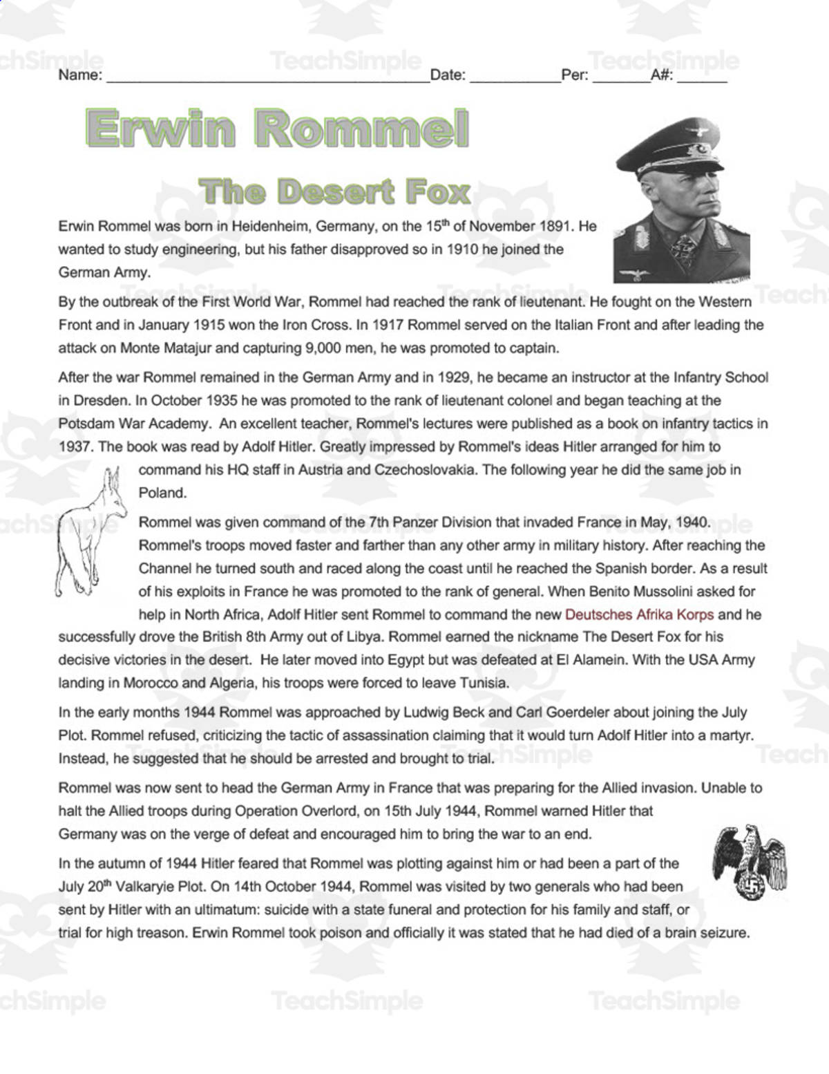 An educational teaching resource from DrDrew entitled Erwin Rommel: The Desert Fox | Comprehension Questions downloadable at Teach Simple.