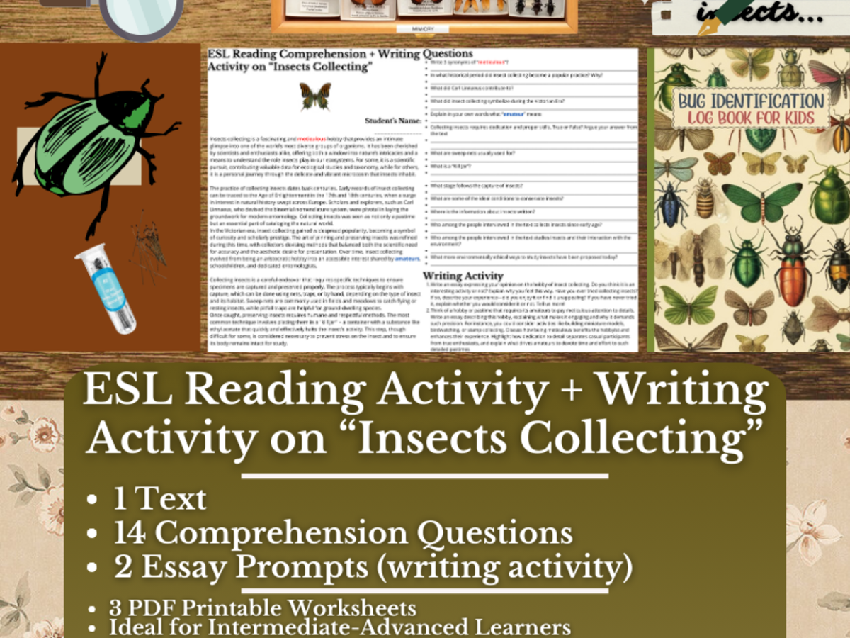 An educational teaching resource from Learning with Alan entitled ESL Reading Comprehension + Essay Worksheets on "Insects Collecting" downloadable at Teach Simple.