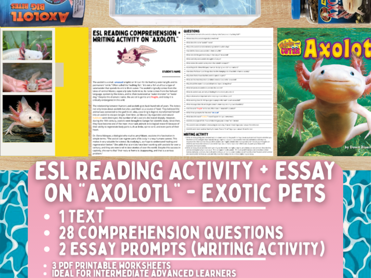 An educational teaching resource from Learning with Alan entitled ESL Reading Comprehension + Writing Activity - Axolotl - Exotic Pets downloadable at Teach Simple.