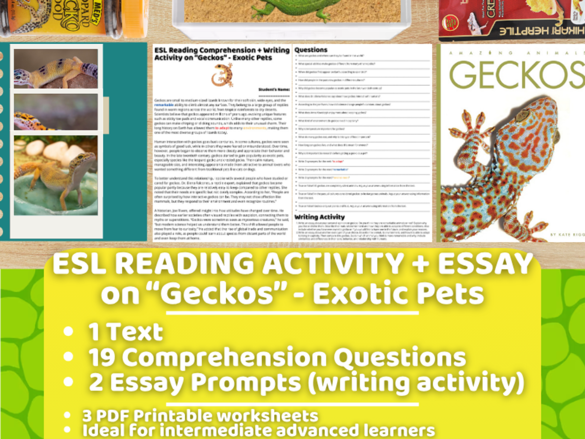 An educational teaching resource from Learning with Alan entitled ESL Reading Comprehension + Writing Activity - Geckos - Exotic Pets downloadable at Teach Simple.