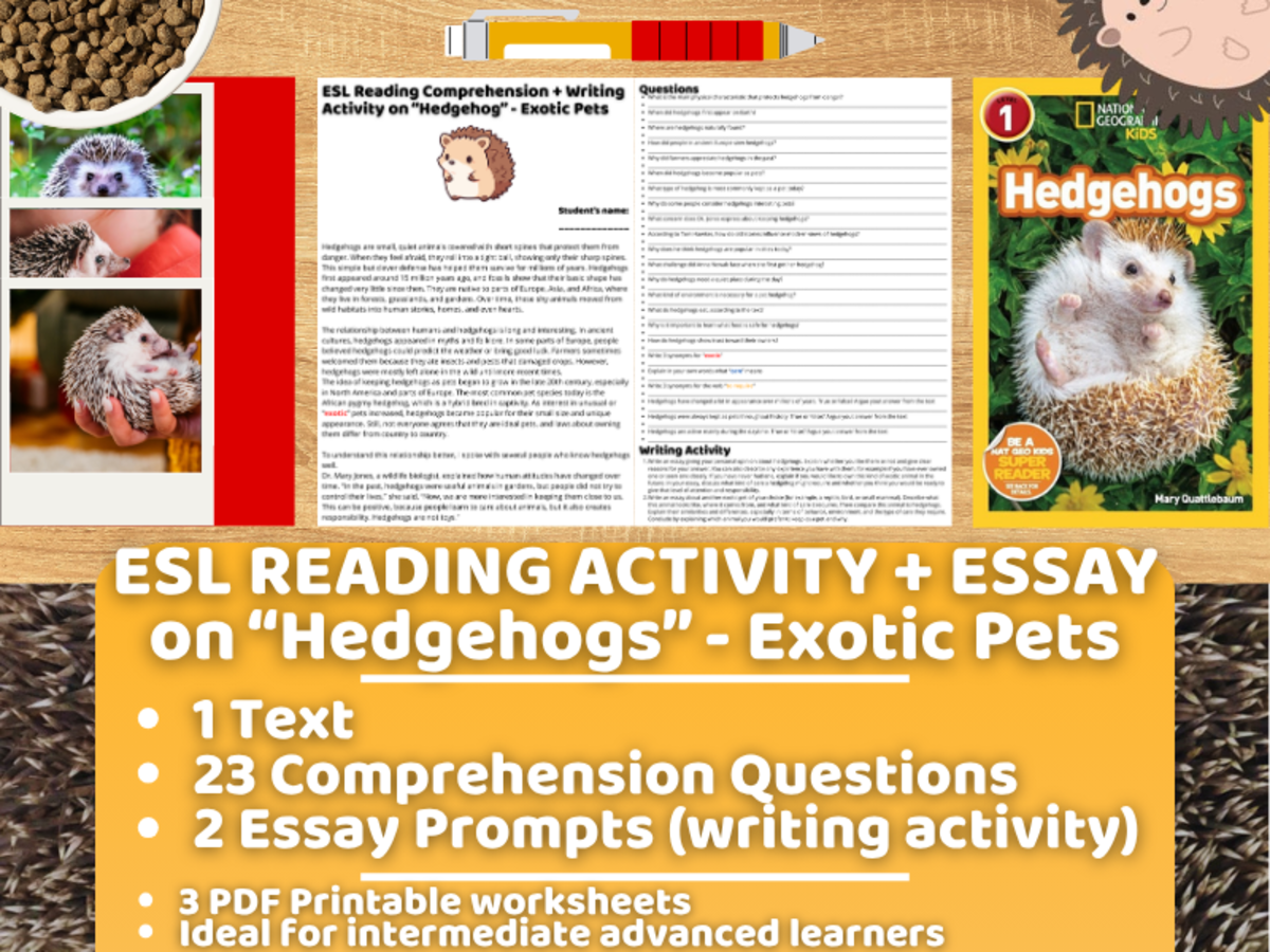 An educational teaching resource from Learning with Alan entitled ESL Reading Comprehension + Writing Activity - Hedgehog - Exotic Pets downloadable at Teach Simple.