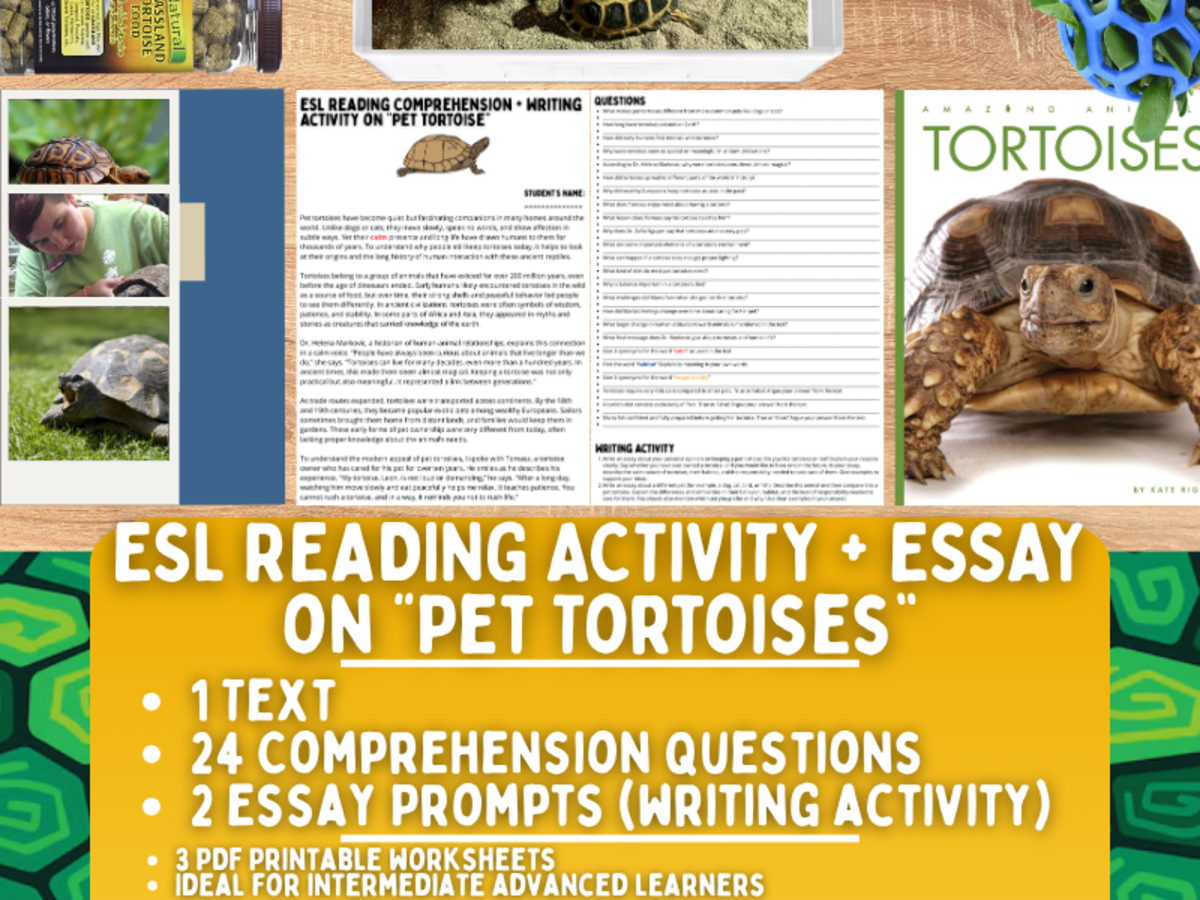 An educational teaching resource from Learning with Alan entitled ESL Reading Comprehension + Writing Activity - Pet Tortoise - Animals downloadable at Teach Simple.