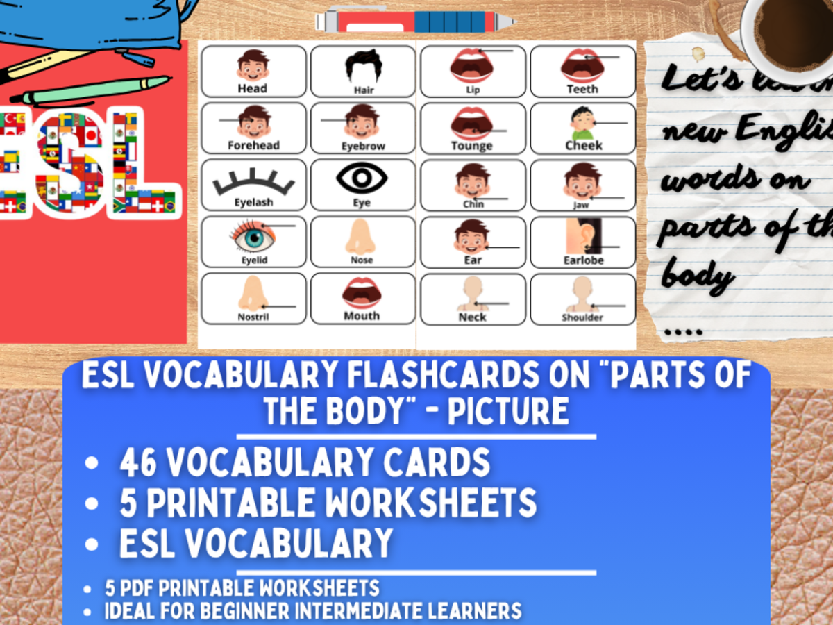 An educational teaching resource from Learning with Alan entitled ESL Vocabulary Flashcards - Parts of the Body - Pictures downloadable at Teach Simple.