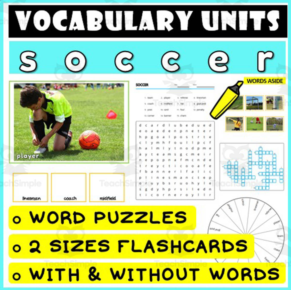 An educational teaching resource from WORDS ASIDE entitled ESL Vocabulary Flashcards Puzzles Games 29 downloadable at Teach Simple.