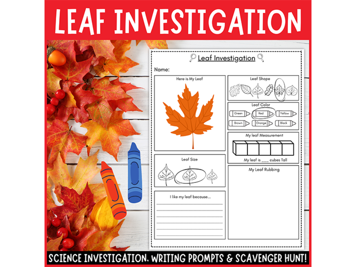 An educational teaching resource from Perfect_Printables entitled Fall Leaf Investigation Science Center Observation Sheet for Preschool downloadable at Teach Simple.