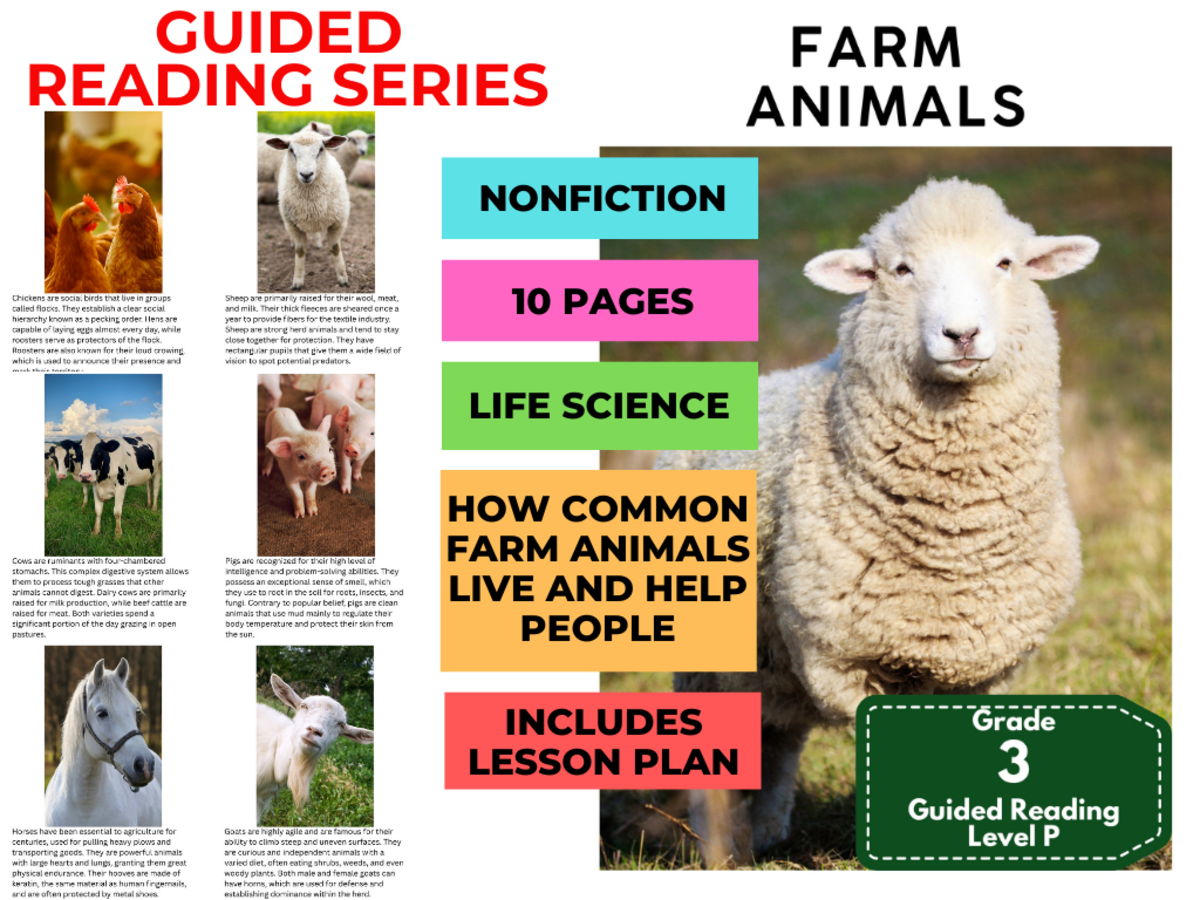 An educational teaching resource from Cored Education entitled Farm Animals: Guided Reading Level P with Lesson Plan downloadable at Teach Simple.