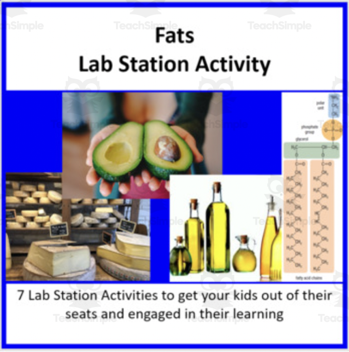 An educational teaching resource from Teach With Fergy entitled Fats – Lab Station Activity downloadable at Teach Simple.