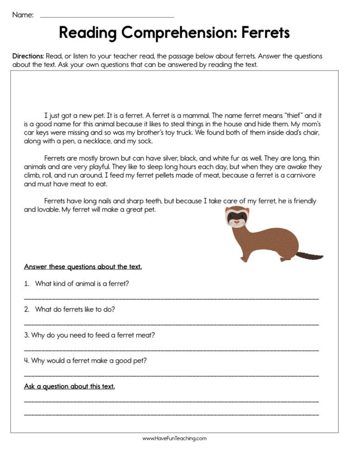 An educational teaching resource from Have Fun Teaching entitled Ferrets Reading Comprehension Worksheet downloadable at Teach Simple.