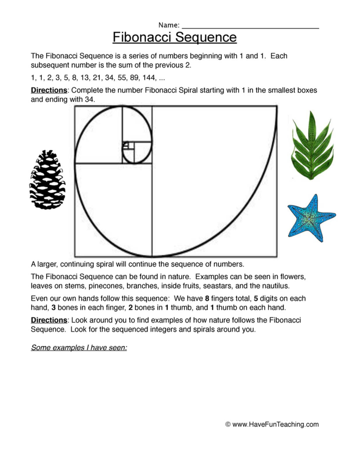 An educational teaching resource from Have Fun Teaching entitled Fibonacci Sequences Worksheet - Examples downloadable at Teach Simple.