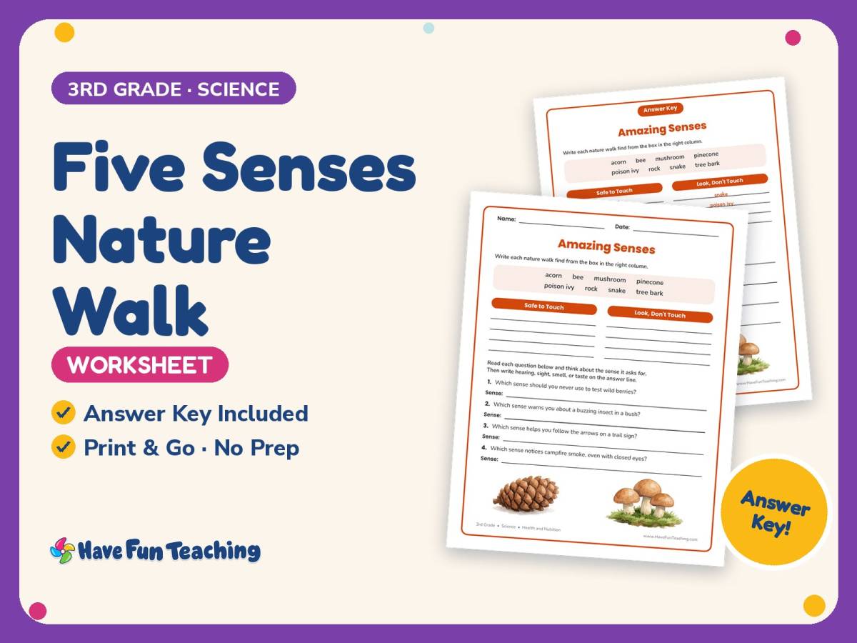 Five Senses Nature Walk Worksheet – 3rd Grade Health and Nutrition preview