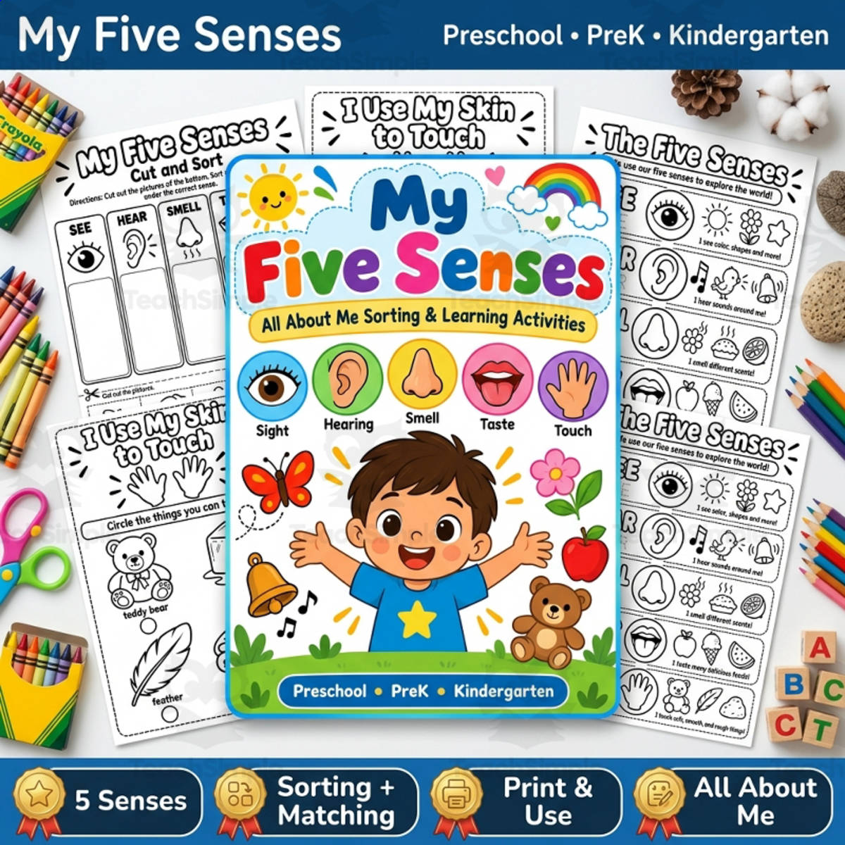 An educational teaching resource from TeachTrend Studio entitled Five Senses Sorting Activity | All About Me Preschool PreK Kindergarte downloadable at Teach Simple.