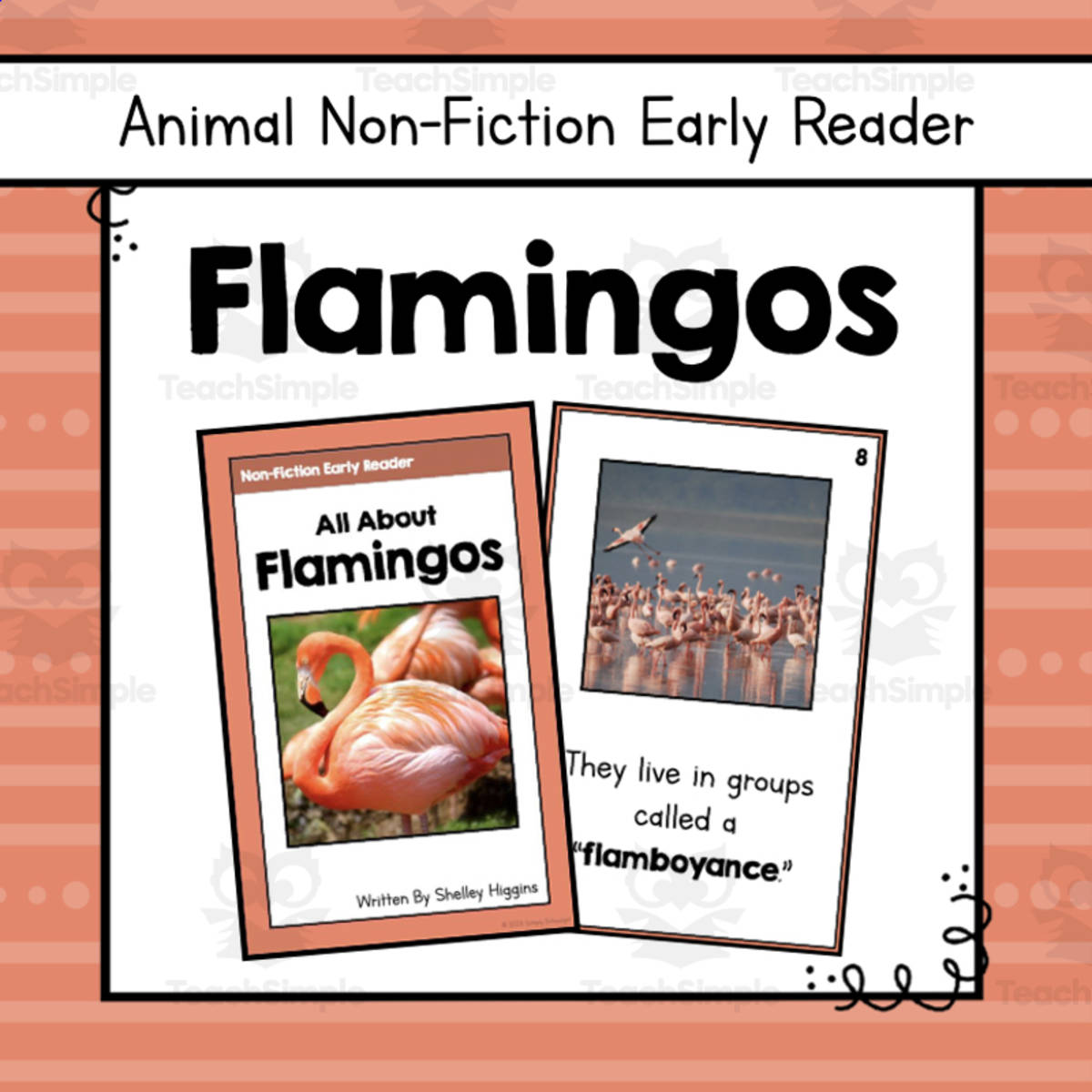 An educational teaching resource from Simply Schoolgirl entitled Flamingos Informational Book | Nonfiction Early Reader Animal Booklet downloadable at Teach Simple.