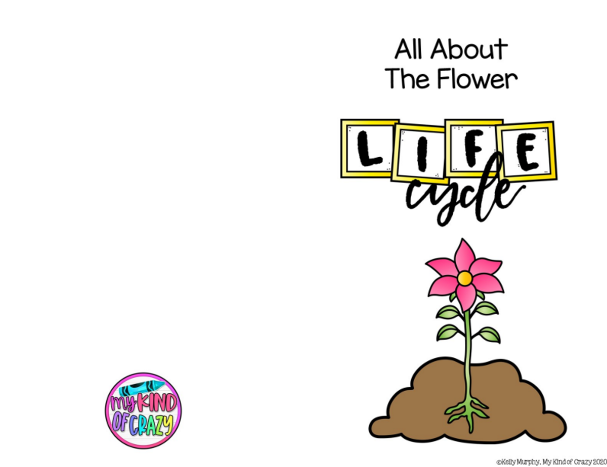 An educational teaching resource from My Kind of Crazy entitled Flower Life Cycle Printable Activity Book downloadable at Teach Simple.