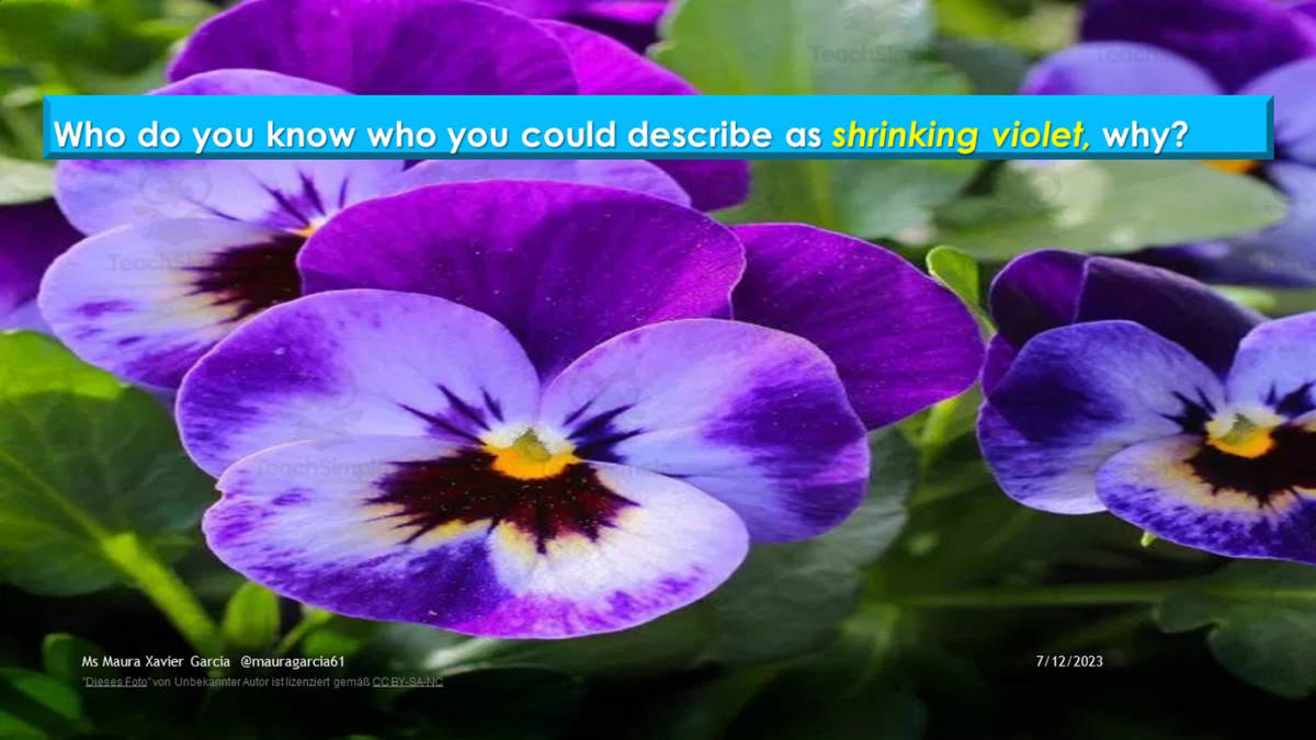 An educational teaching resource from Learning Resources Producer entitled Flower Power: Idioms for Socializing downloadable at Teach Simple.
