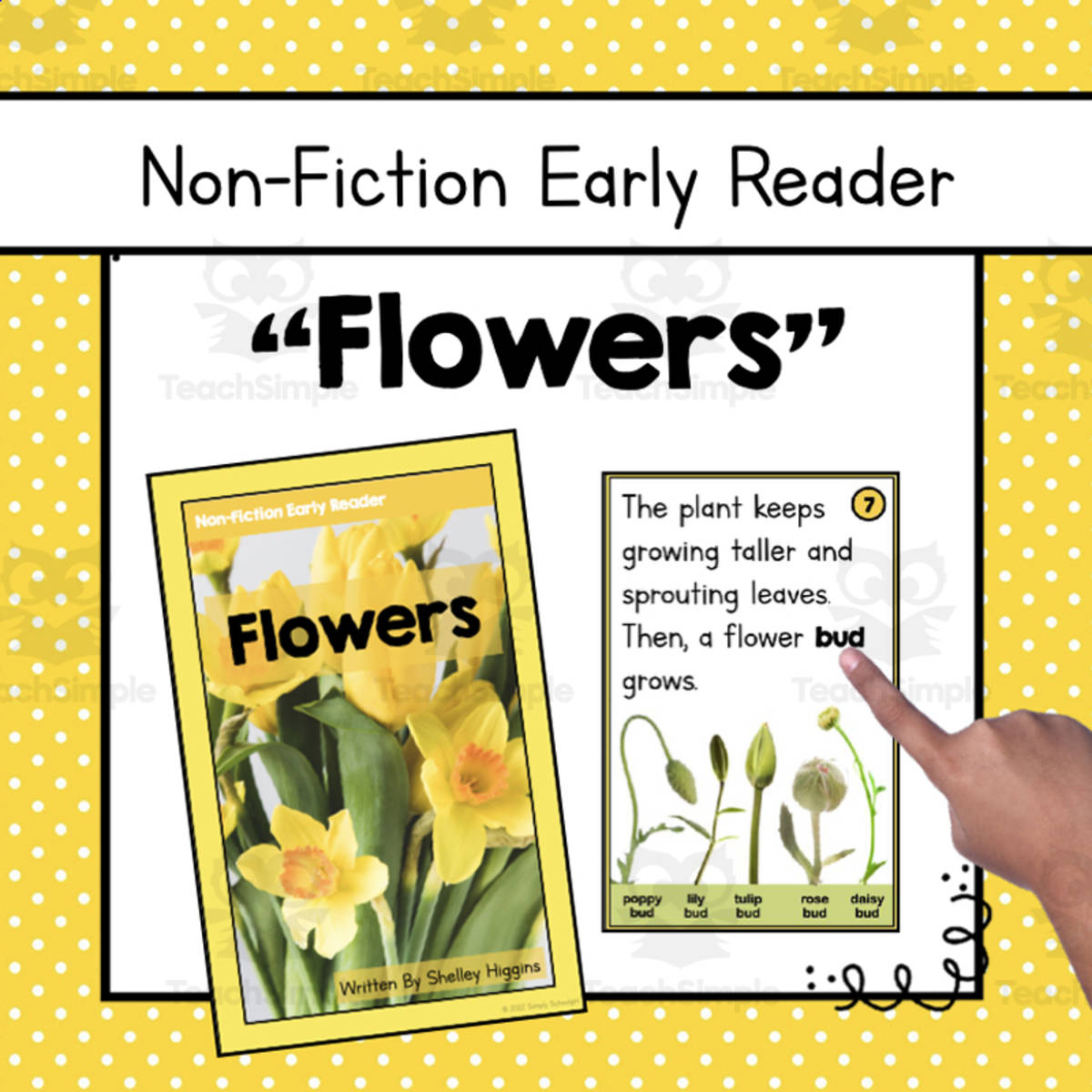 An educational teaching resource from Simply Schoolgirl entitled "Flowers" | Nonfiction Early Reader downloadable at Teach Simple.