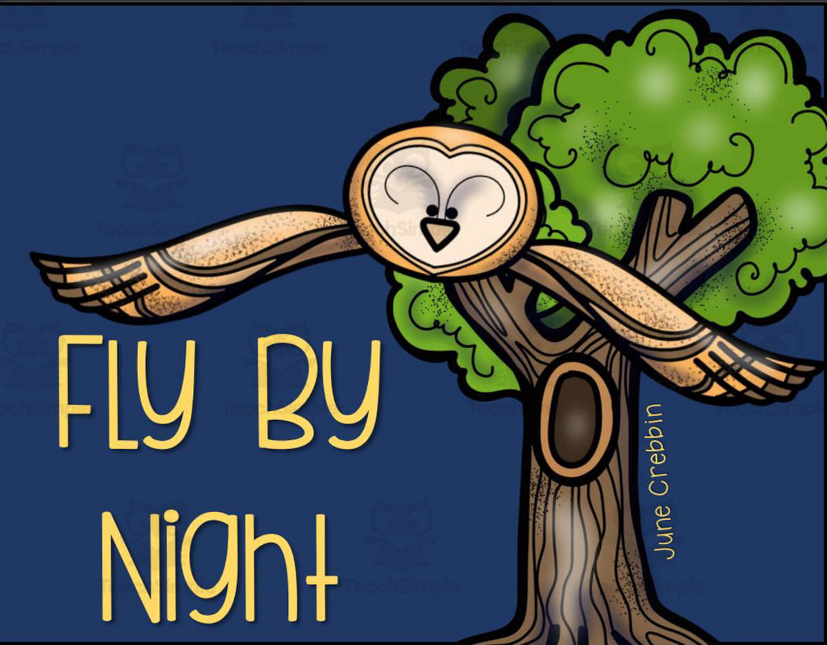 An educational teaching resource from Glitter and Grace entitled Fly By Night (A Story Companion) downloadable at Teach Simple.
