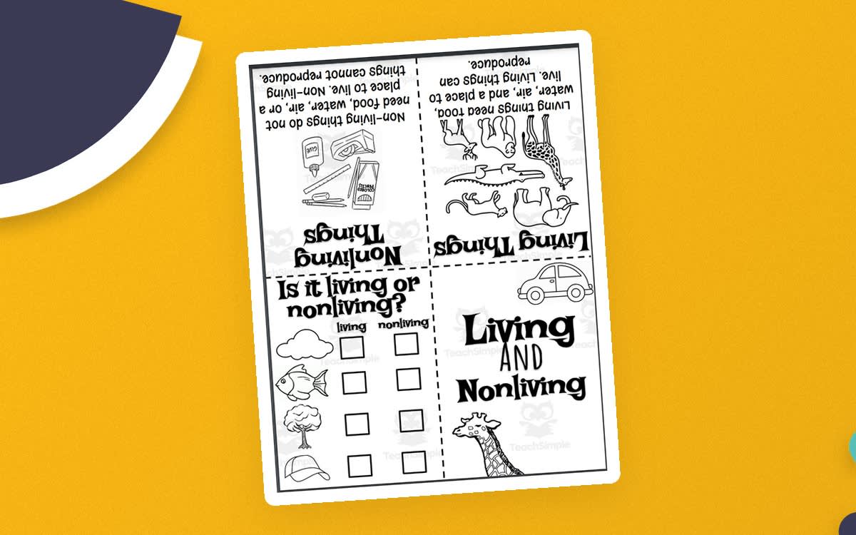An educational teaching resource from Rodriguez's Resources entitled Living & Non-Living Things – Fold-and-Read Booklet downloadable at Teach Simple.