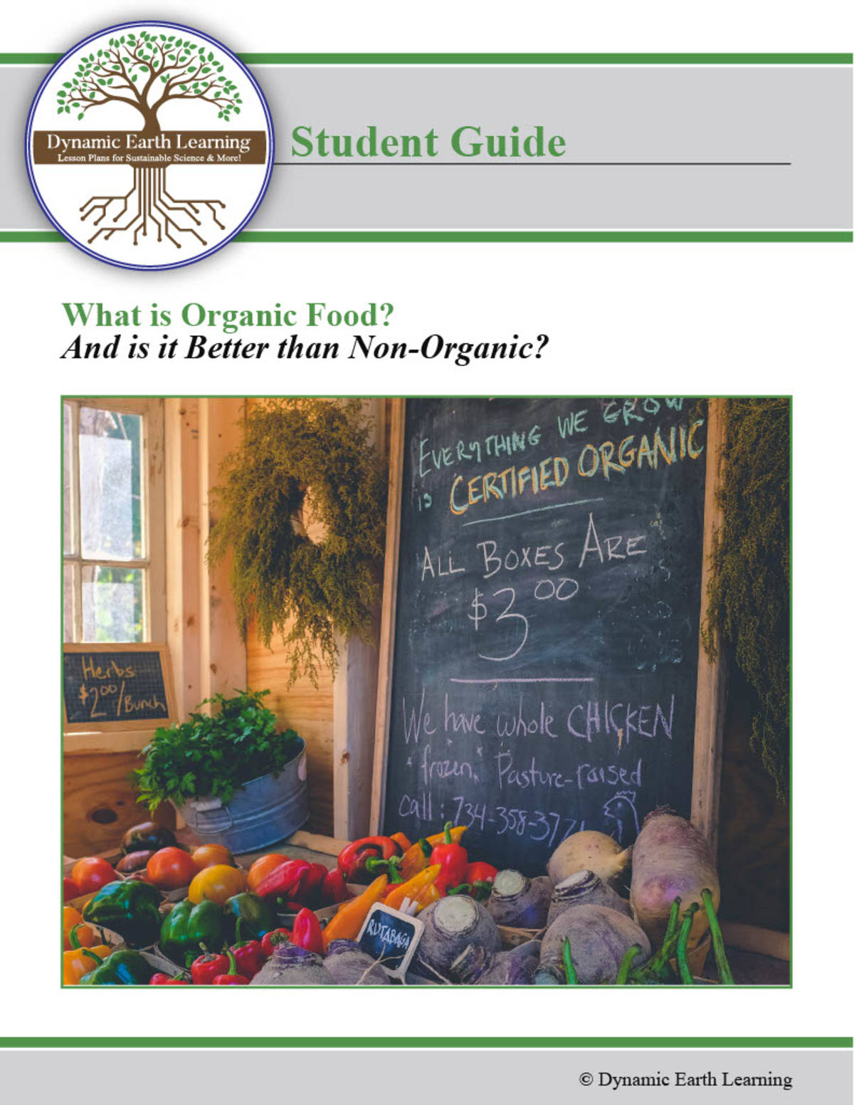 An educational teaching resource from Dynamic Earth Learning entitled Food and Nutrition Lesson Plan & Worksheets: Organic vs Non-Organic Foods (Digital and Print) downloadable at Teach Simple.