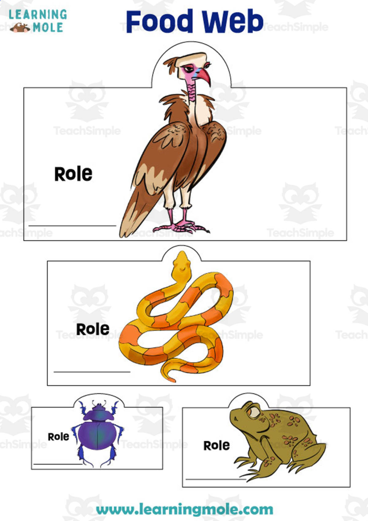 An educational teaching resource from Educational Voice entitled Food Web Activity downloadable at Teach Simple.