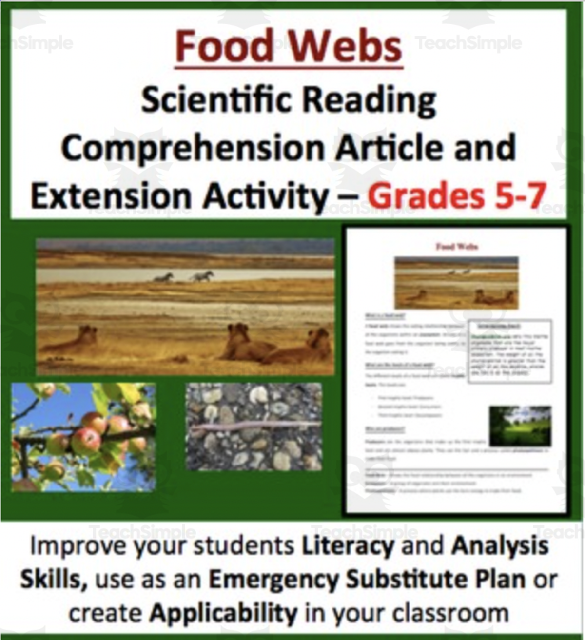 An educational teaching resource from Teach With Fergy entitled Food Webs - Science Reading Article – Grades 5-7 downloadable at Teach Simple.