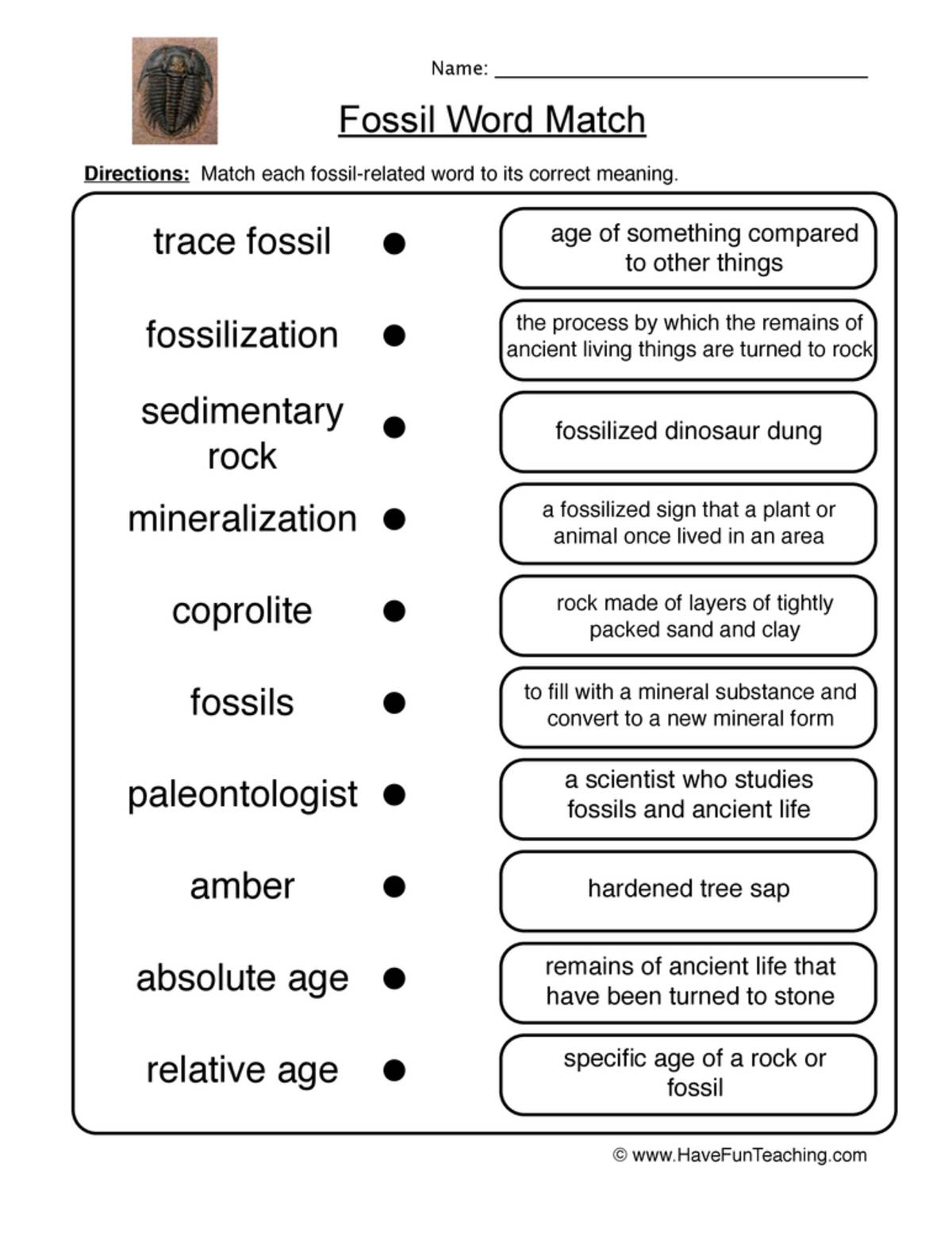 An educational teaching resource from Have Fun Teaching entitled Fossil Definitions Worksheet downloadable at Teach Simple.