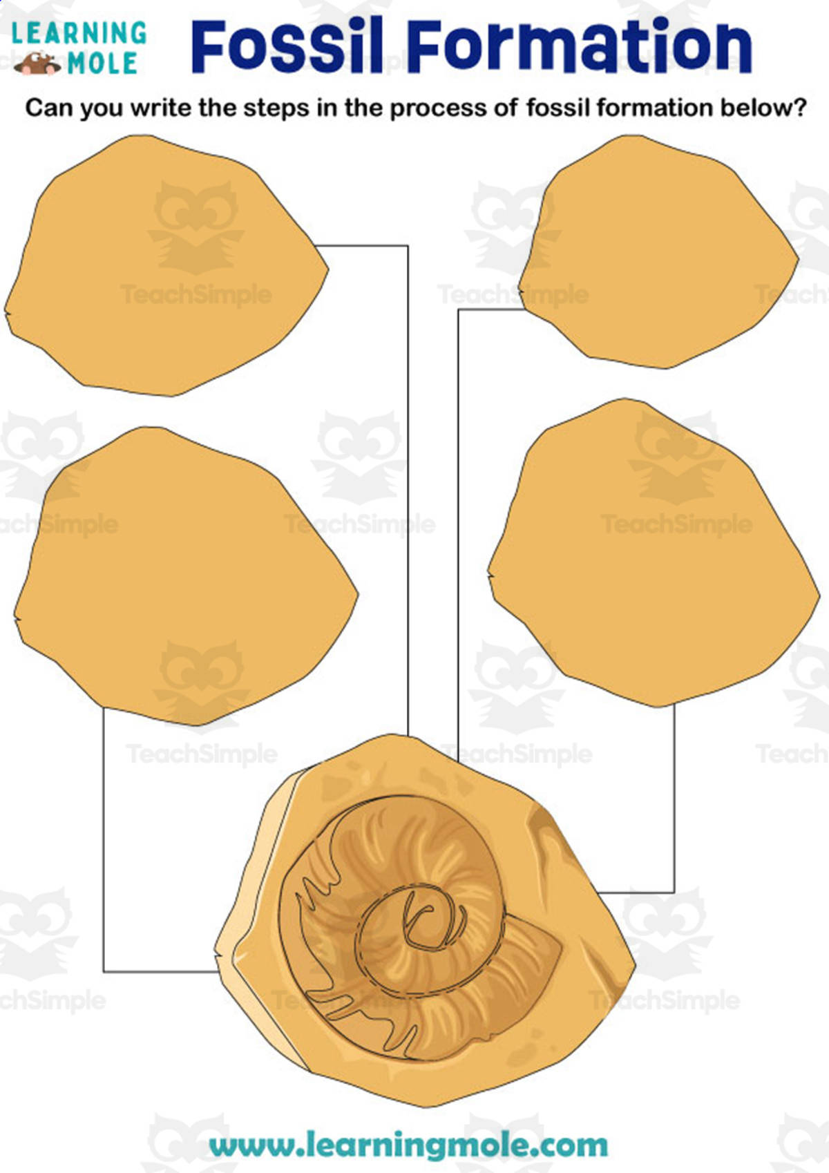 An educational teaching resource from Educational Voice entitled Fossil Formation Activity downloadable at Teach Simple.