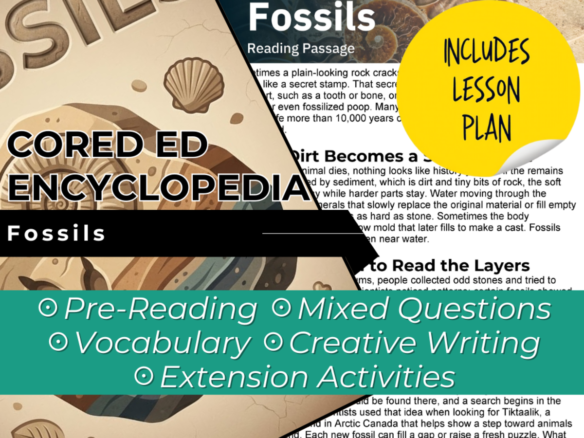 An educational teaching resource from Cored Education entitled Fossils Reading Comprehension Passage - Cored Ed Encyclopedia downloadable at Teach Simple.